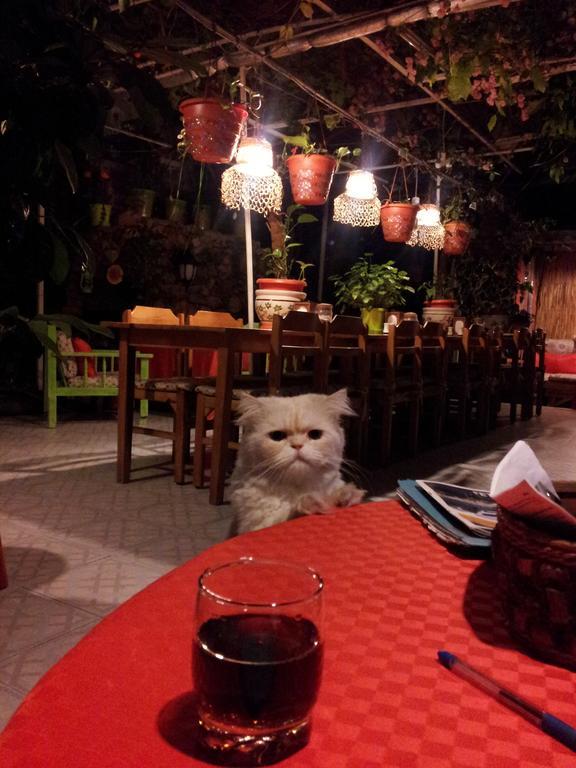 Ferah Hostel Monica'S Place Fethiye Kültér fotó